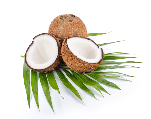 Coconut