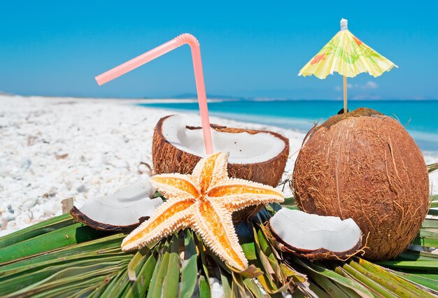 Coconuts by the shore on a clear day