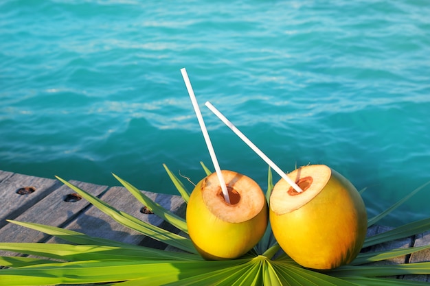 Coconuts cocktail palm tree leaf in Caribbean