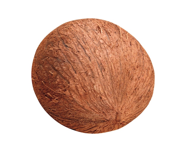 写真 白い背景で隔離のココナッツ