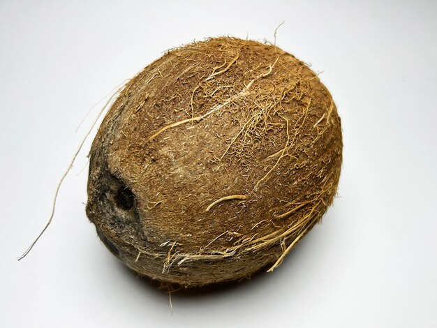 coconuts isolated on a white background