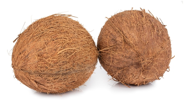 Coconuts isolated