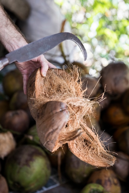 Coconuts on the market