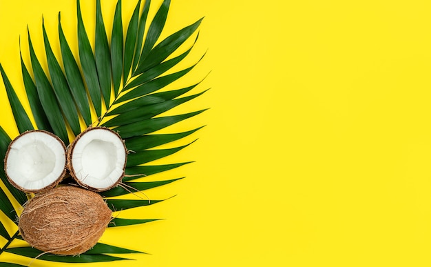 Coconuts and palm leaf on vibrant yellow background. Top view, copy space.