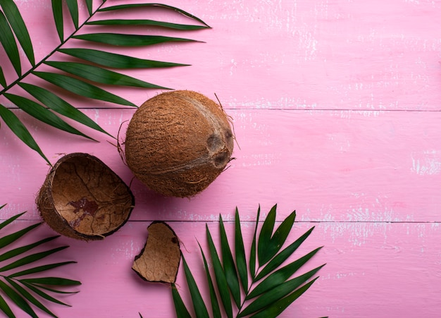 Coconuts and palm leaves on pink