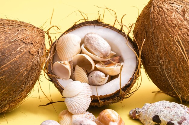 코코넛, 바위와 조개 해변 개념