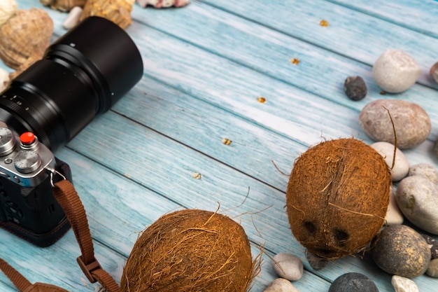 Coconuts, rocks and seashells in beach concept