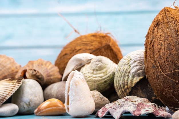 Coconuts, rocks and shells on a blue wooden background.Marine theme