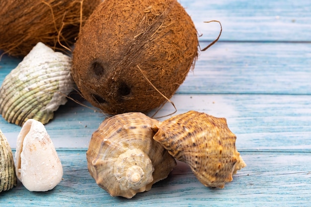 Coconuts, rocks and shells on a blue wooden background.Marine theme