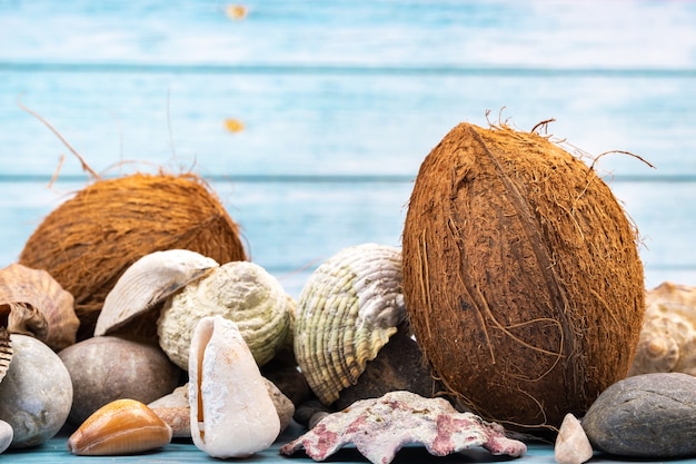 Coconuts, rocks and shells on a blue wooden background.Marine theme.