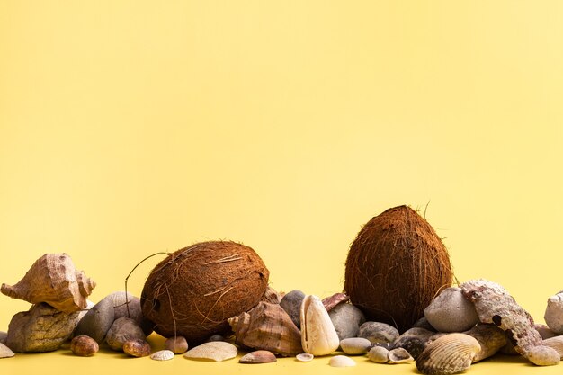 Coconuts, rocks and shells on a yellow background .Marine theme.