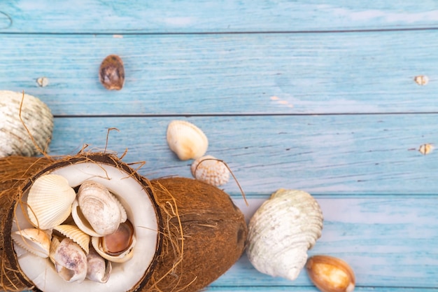 Coconuts and seashells on a blue wooden background .Marine theme