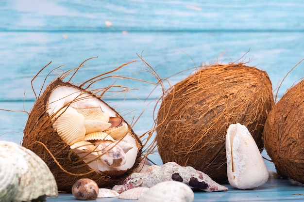 Coconuts and seashells on a blue wooden background .marine theme