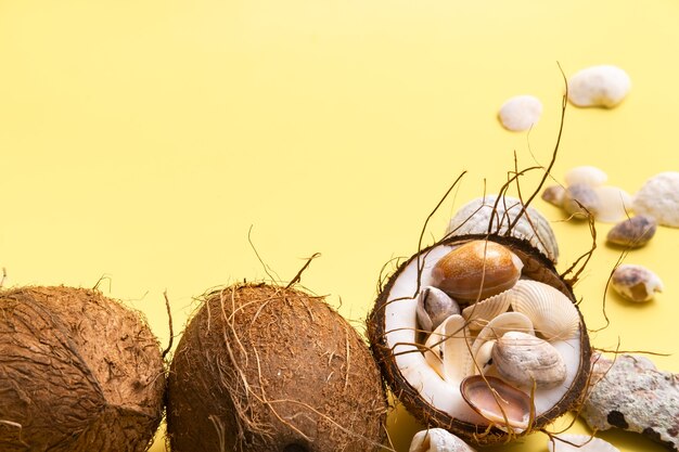 黄色の背景にココナッツと貝殻。マリンテーマ