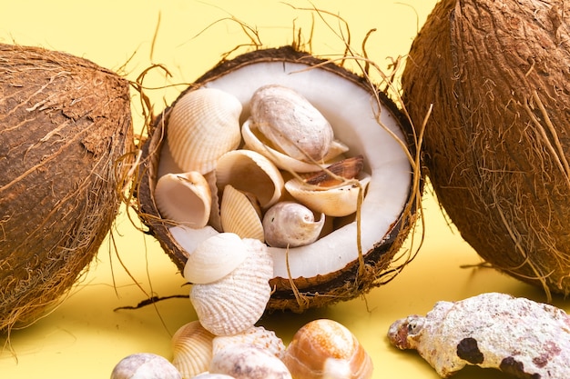 Coconuts and shells on a yellow background .Marine theme.