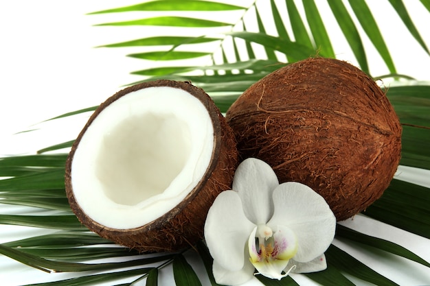 Coconuts with leaves and flower, close up