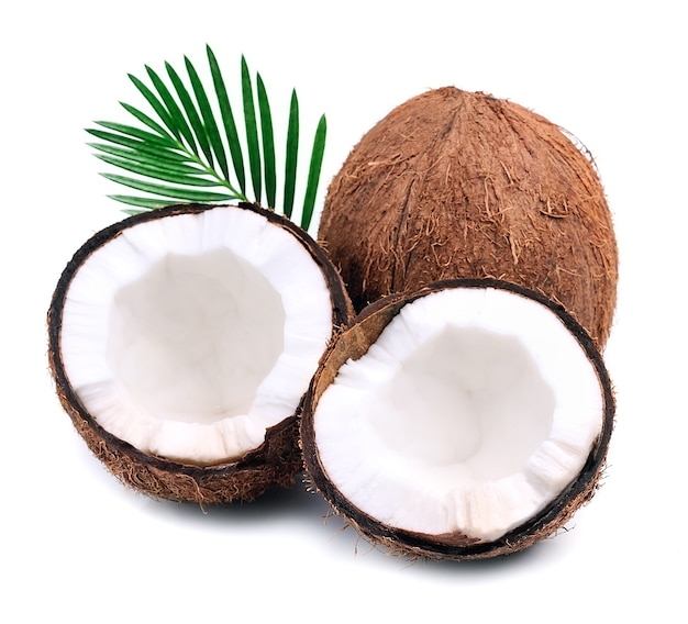 Coconuts with leaves on a white.