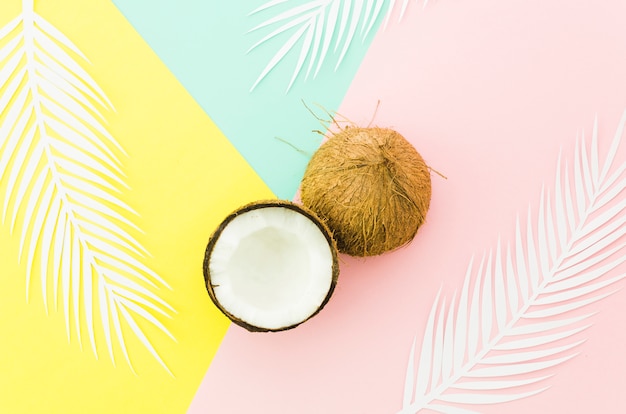 Coconuts with palm leaves on bright table