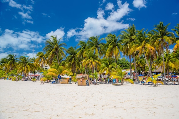 Пляжный бар Cocos на пляже с белым песком и пальмами в солнечный день Остров Исла Мухерес Карибское море Канкун Юкатан Мексика
