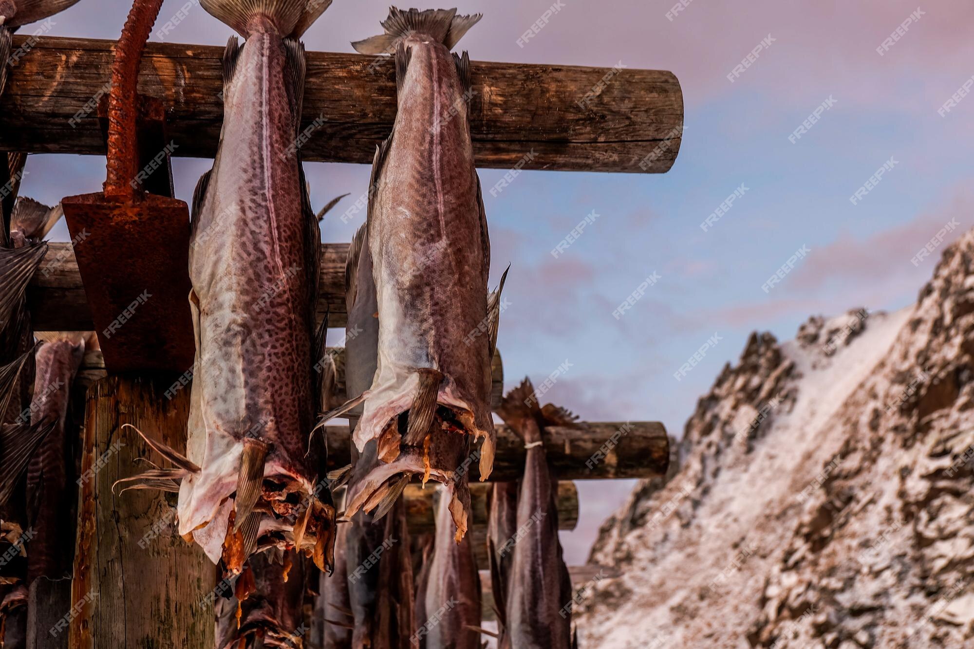 Dried Stockfish - The Tradition Lives On - Norwegian stockfish