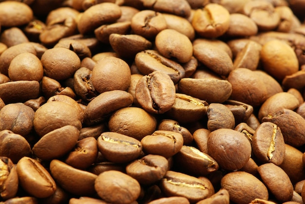 coffe beans