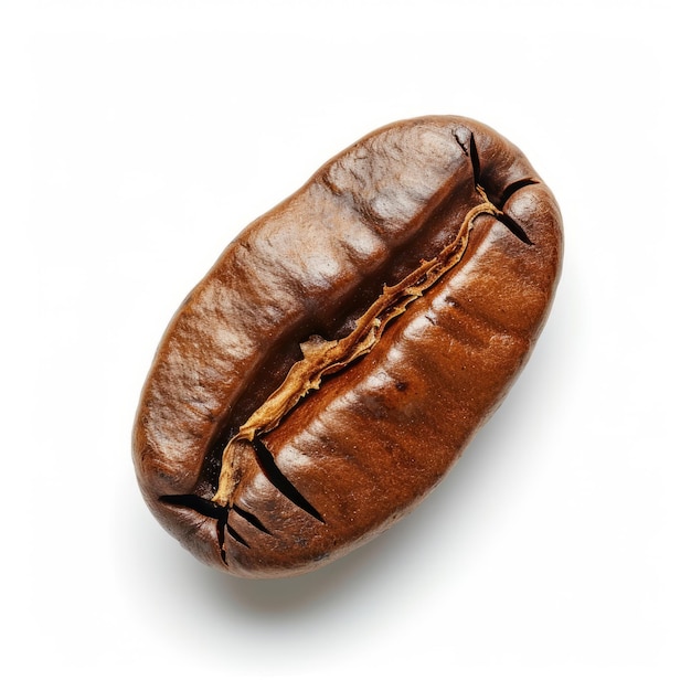 바탕 에 분리 된 커피 콩
