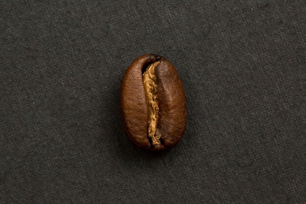 Coffee bean roasted arabica