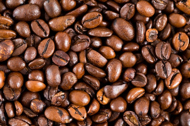 Coffee bean texture