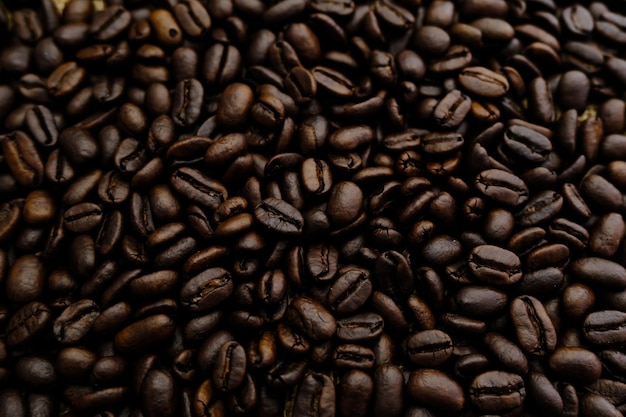 coffee beans after the roasting process