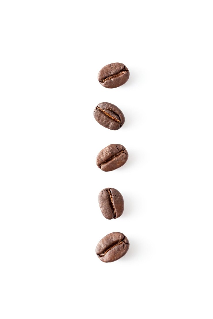 Photo coffee beans are lined up in a row one has a row of coffee beans