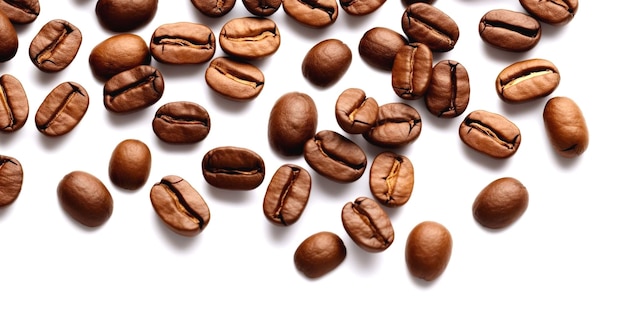 coffee beans arranged