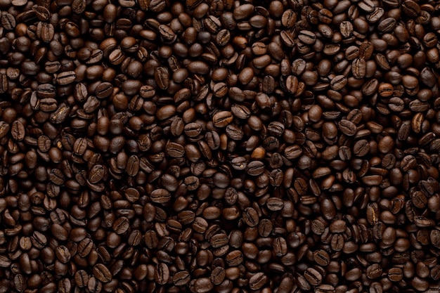 Photo coffee beans background macro texture