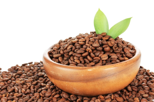 Coffee beans in bowl on white background