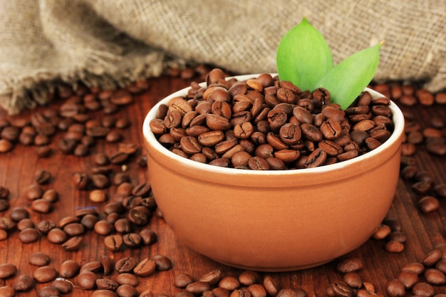 Coffee beans in bowl on wooden background