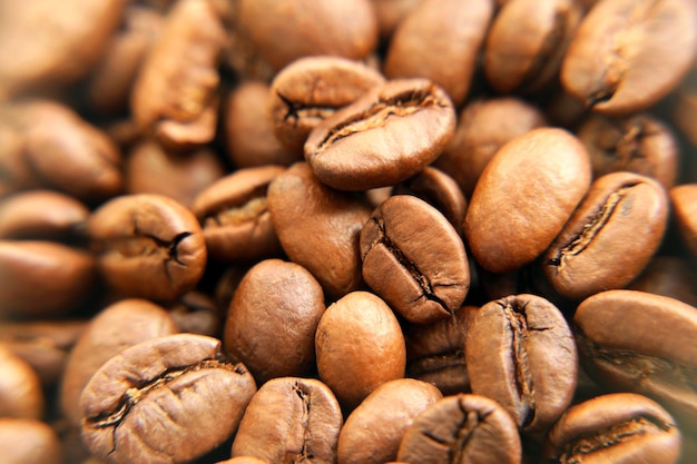 Coffee beans closeup macro