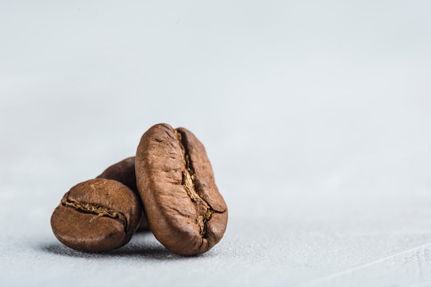 Coffee beans closeup on white background with copyspace