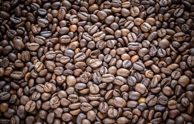Coffee beans closeup