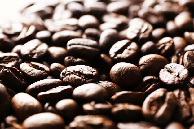 Coffee beans closeup