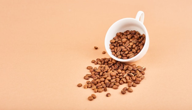 Coffee beans in coffee cup on pastel background Space fot text