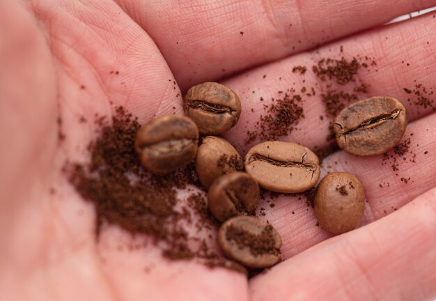 Chicchi di caffè e polvere di caffè in mano