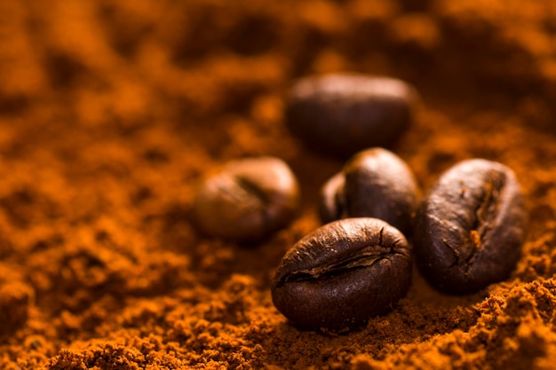 Coffee beans on coffee powder