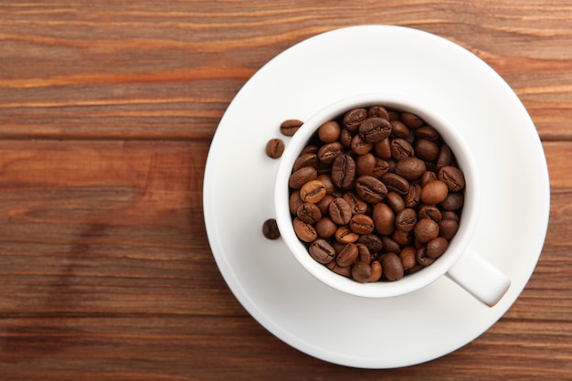 Coffee beans on a colored background place to insert text minimalism