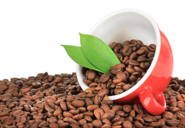 Coffee beans in cup on white background