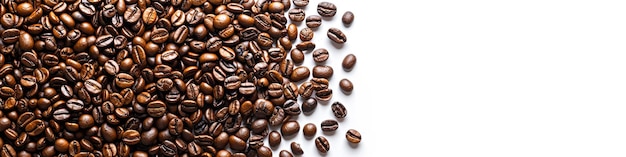 커피 콩 향기 풍부한 깊은 매력 아침 의식의 본질과 양조 가능성