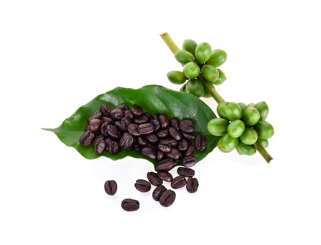 白い背景で隔離のコーヒー豆