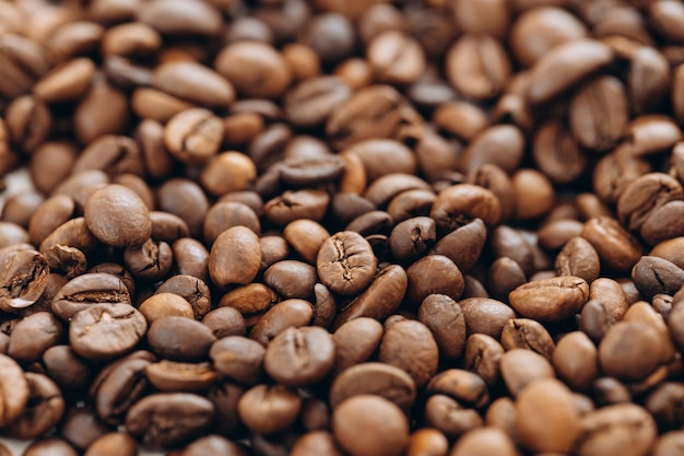 Coffee beans isolated on white background