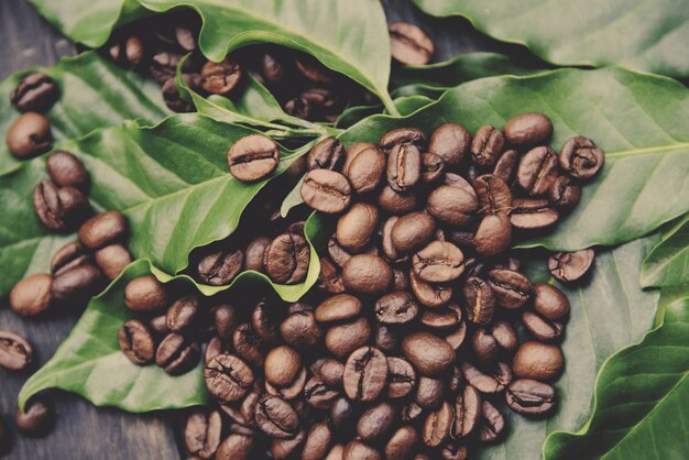 Coffee beans on leaf - Roasted coffee on dark wooden table 