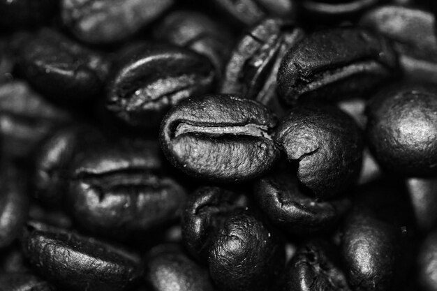 Coffee beans panoramic background, texture with copy space .Coffee beans in hands on dark background