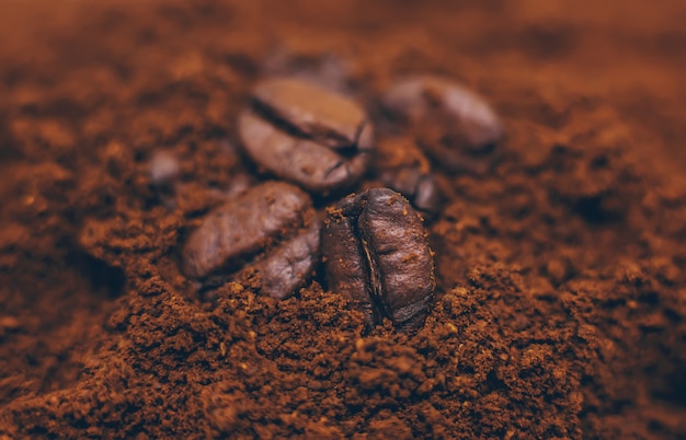 Coffee beans roasted close-up. Drink