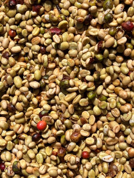 エチオピアのシダマ高原地域でのコーヒー豆の日干し工程と蜂蜜工程